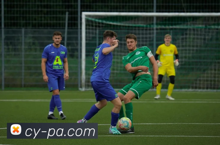 PA娱乐官网服务体系